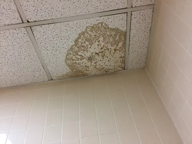 Ceiling tile stained and swollen by a water leak