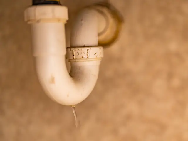 Leaking drain pipe dripping water under a sink
