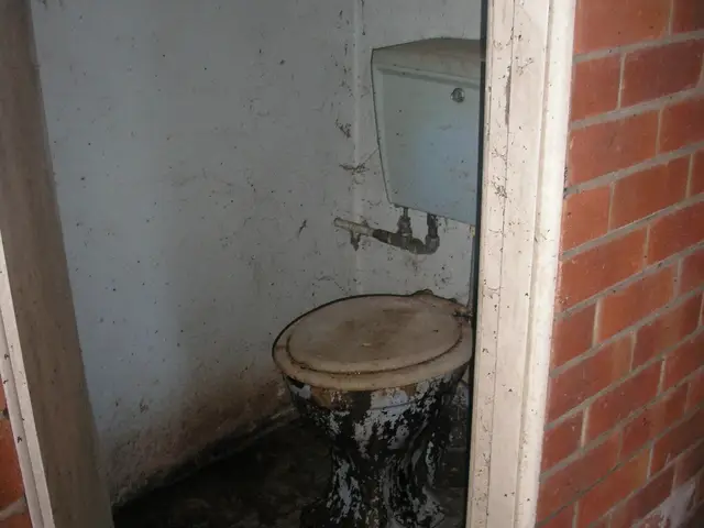 Overflowing toilet with dirty water on the floor